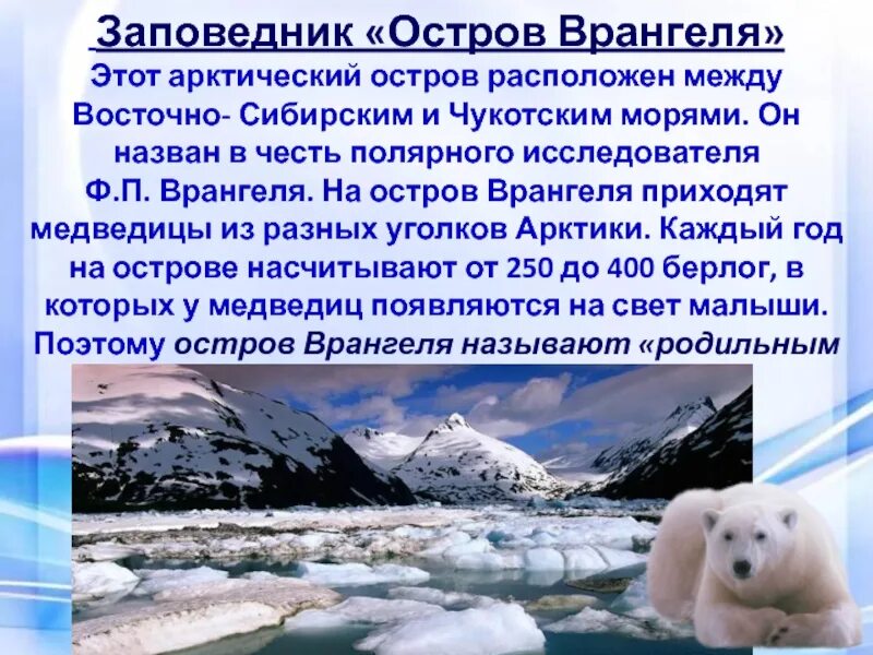 Заповедники арктической зоны 4 класс окружающий мир