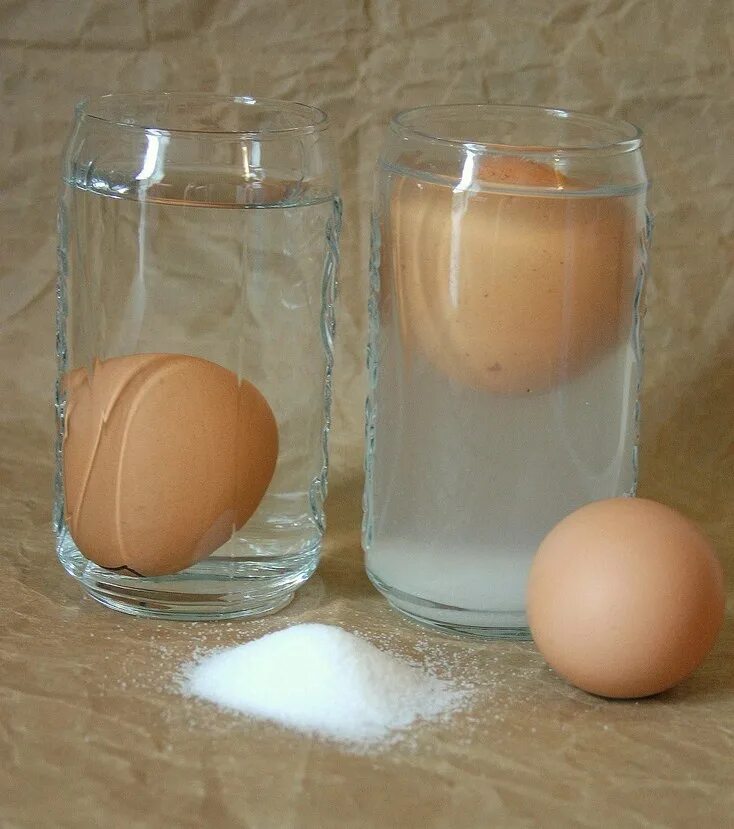 1 стакан воды 1 яйцо. Опыт с яйцом. Эксперимент с яйцом и соленой водой. Опыт с яйцом и соленой водой. Опыт с солью и яйцом.