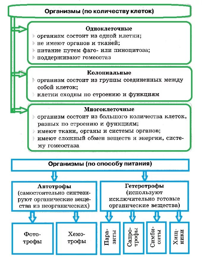 Сходство и различие одноклеточных. Особенности клеток одноклеточных и многоклеточных организмов. Организмы по количеству клеток. Одноклеточные колониальные и многоклеточные организмы таблица. Особенности одноклеточных, колониальных и многоклеточных.