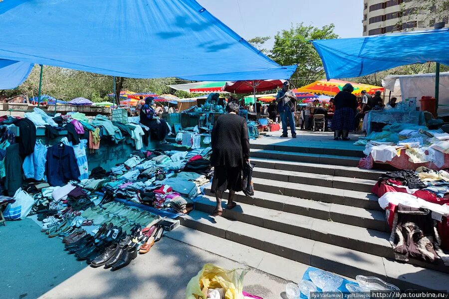 Тамбов рынок голуб. Рынок в голубом. Голубиный рай ярмарка. Рынок в голубом. Астрахань голуби рынок.