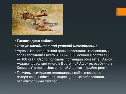 Под угрозой исчезновения
