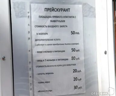 Парк екатеринбург расписание