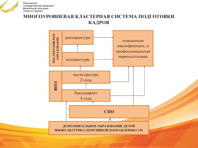 Образование в области спортивной