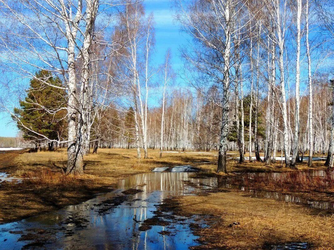 Весенний пейзаж.