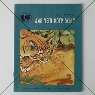 Для чего коту усы