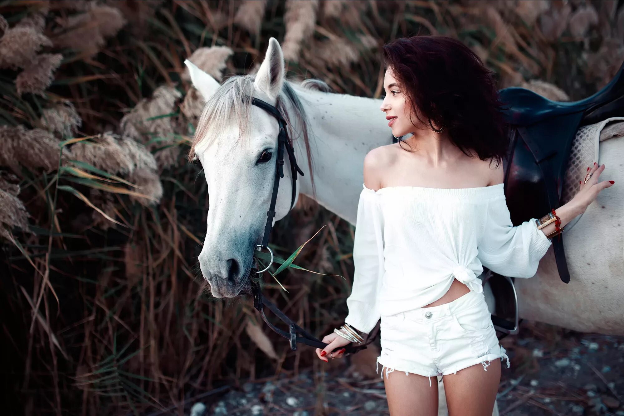 Девки и лошади. Девушка с лошадью. Фотосессия с лошадьми. Девушка на коне.