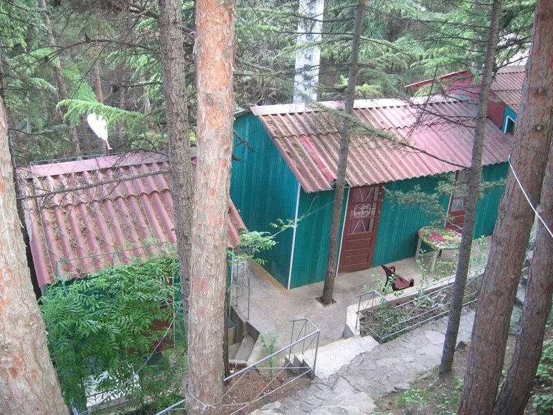 Картинки БАЗА ОТДЫХА МЕЧТА ГУРЗУФ