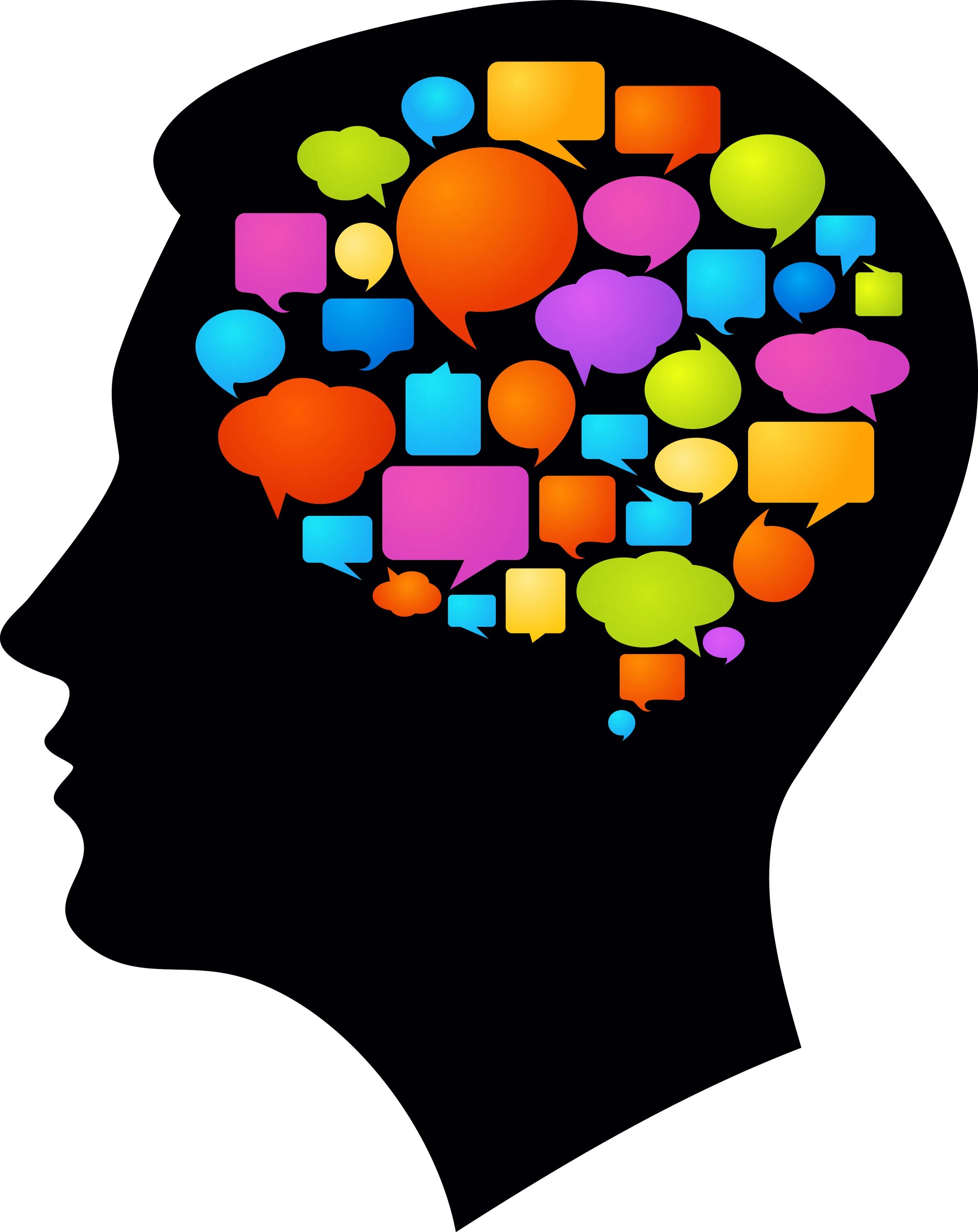 Language and mind