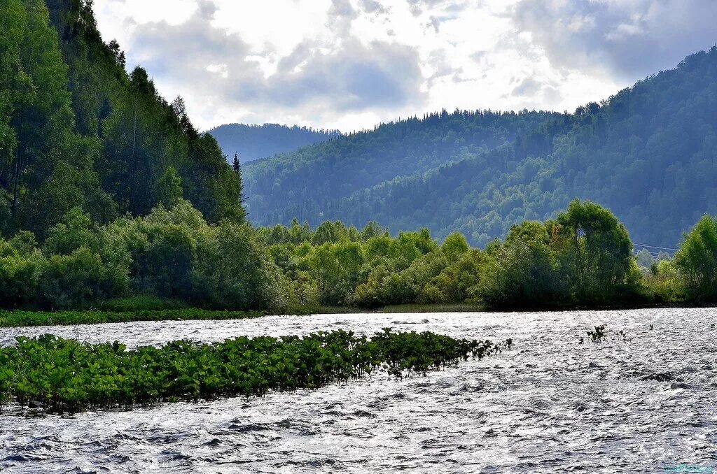 Река томь кемеровская область. Сколько рек томь. Река томь междуреченск. Сколько рек томь. Сколько рек томь.