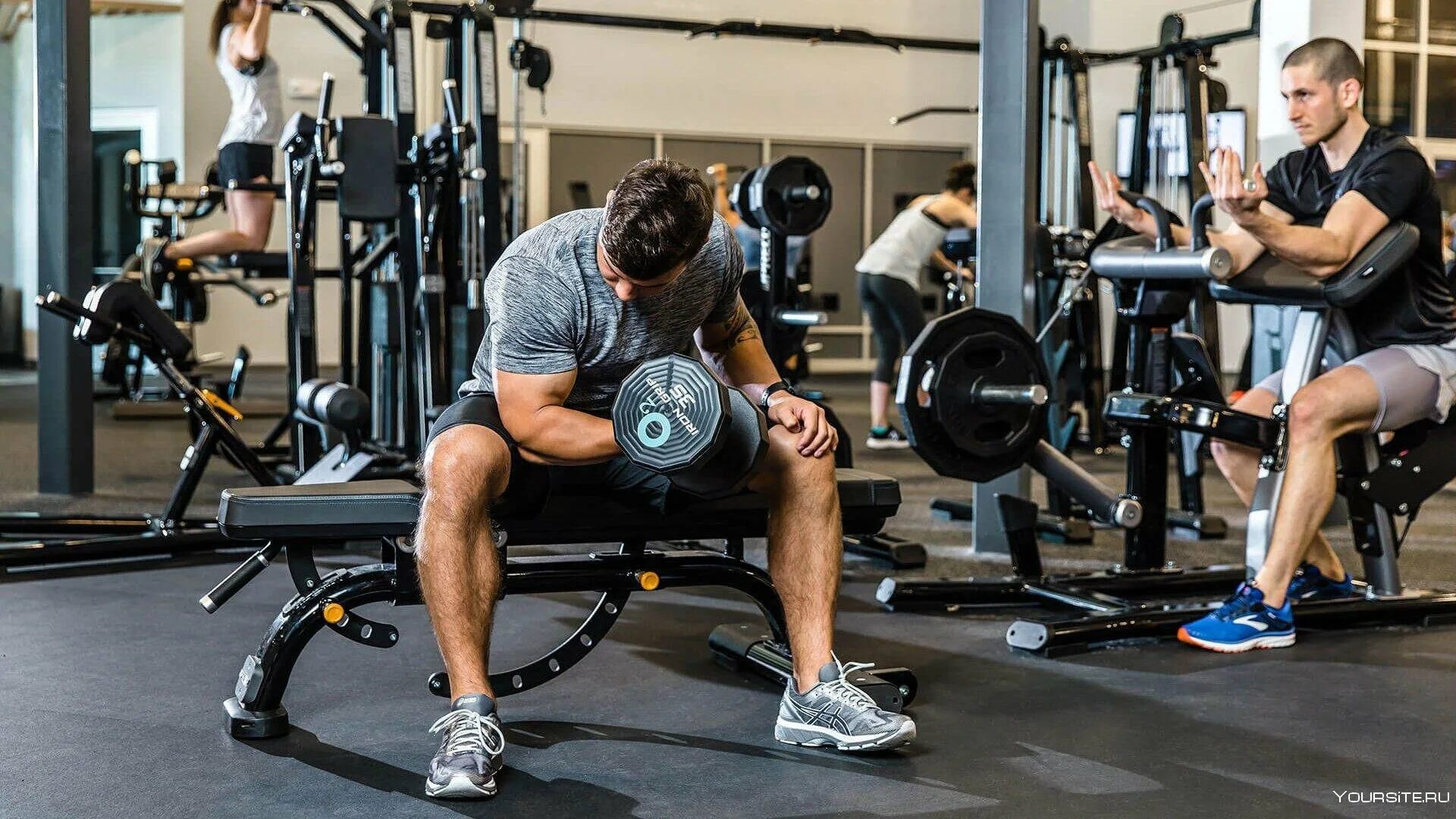 Занятия в тренажерном зале. Тренировка в зале. Упражнения в тренажерном зале. Тренировка в тренажерном зале. Тренировки в тренажерке.