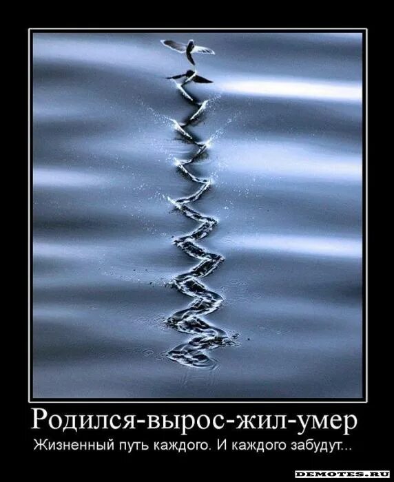 Русские умирают чтобы жить. Демотиваторы про жизнь. Лучшие демотиваторы о жизни. Жизненный путь. Демотиваторы со смыслом про жизнь.