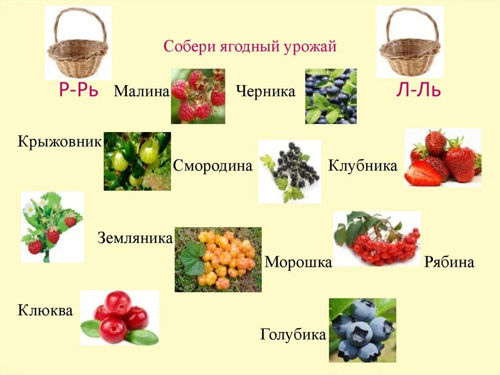 Лесные ягоды словами. Ягоды со звуком р. Тема ягоды. Презентация ягоды для дошкольников. Ягоды названия.