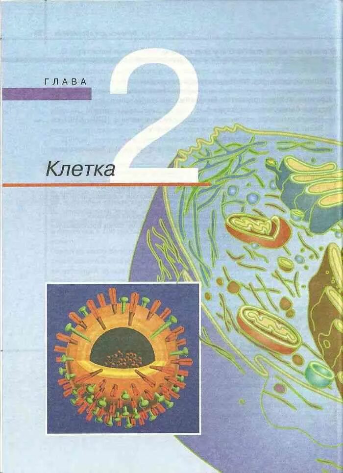 Профильный учебник по биологии 10. Биология. 11 Класс общая биология Сивоглазов,Агафонова,Захарова. Учебник биологии 10 класс Сивоглазов Агафонова Захарова. Биология 10-11 класс Захаров. Биология 10-11 класс учебник Сивоглазов.