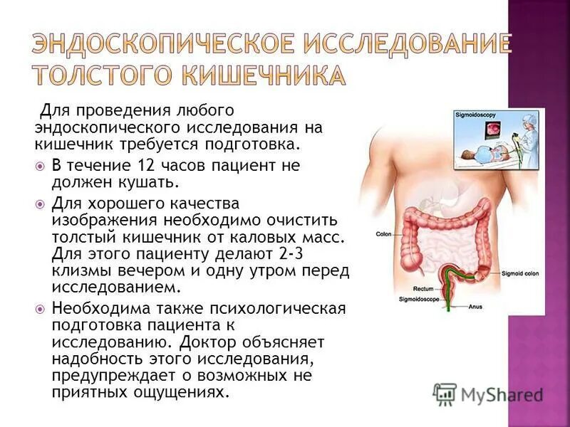 Подготовка к эндоскопическому исследованию толстой кишки. Подготовка к эндоскопическому исследованию толстой кишки