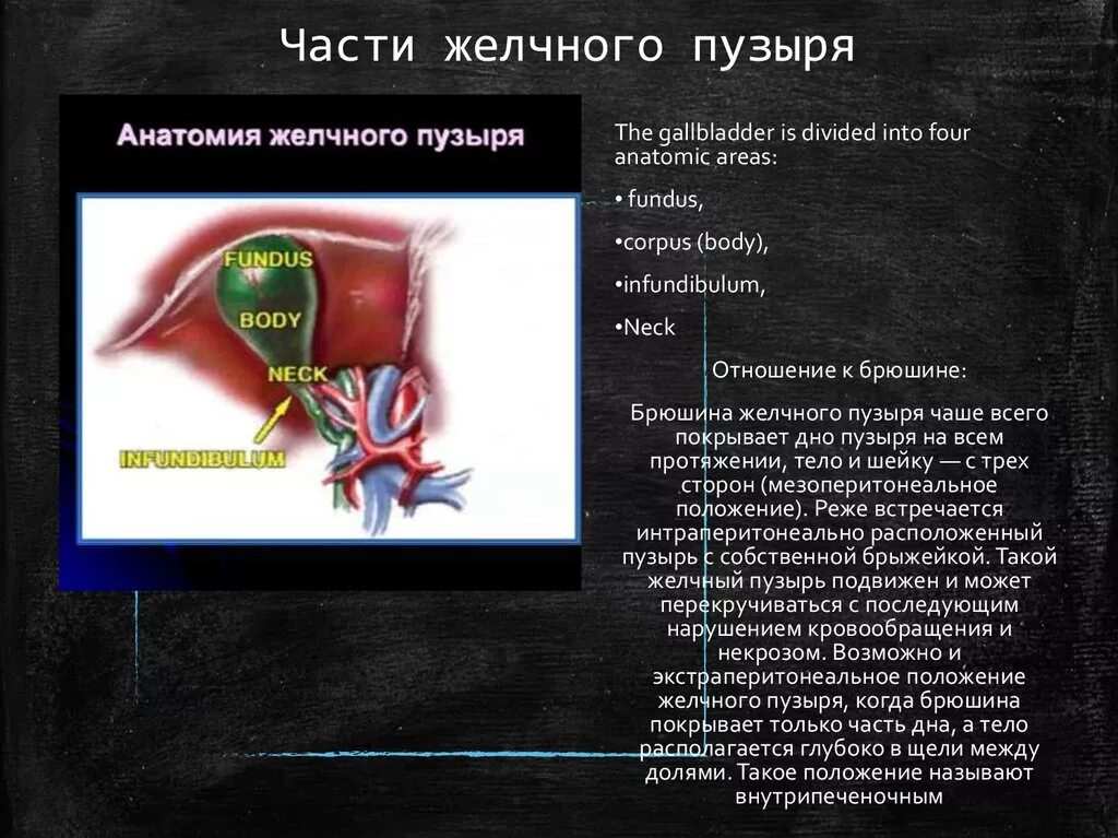 Ограничения желчного пузыря