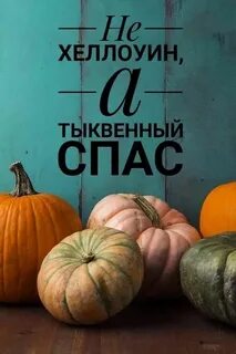 Не хэллоуина тыквенный спас картинка