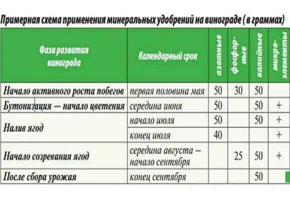 Сколько надо удобрения