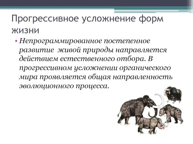 Как называют процесс исторического развития живой природы. Прогрессивное усложнение форм жизни. Прогрессивное постепенное развитие живой природы. Прогрессивное усложнение форм жизни пример. Постепенное развитие эволюции.