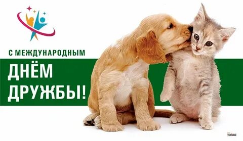 День дружбы 30 июля картинки с надписями