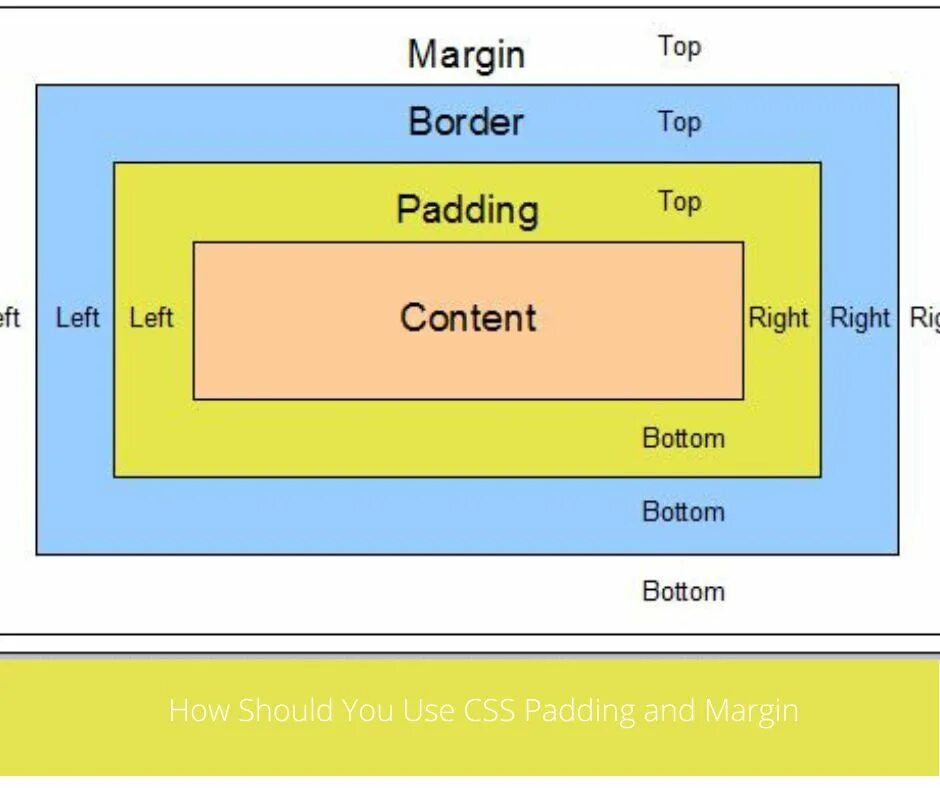 Margin padding. Margin padding CSS. Html margin и padding. Margin padding разница. Html right