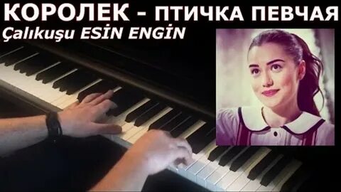 Птичка певчая песня