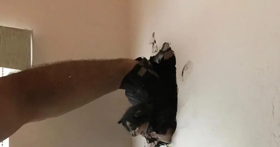 Муж поставил камеру дома. Вытащи из стены. Картинка котенок вырывается со стены.