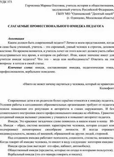 Профессиональный образ пример