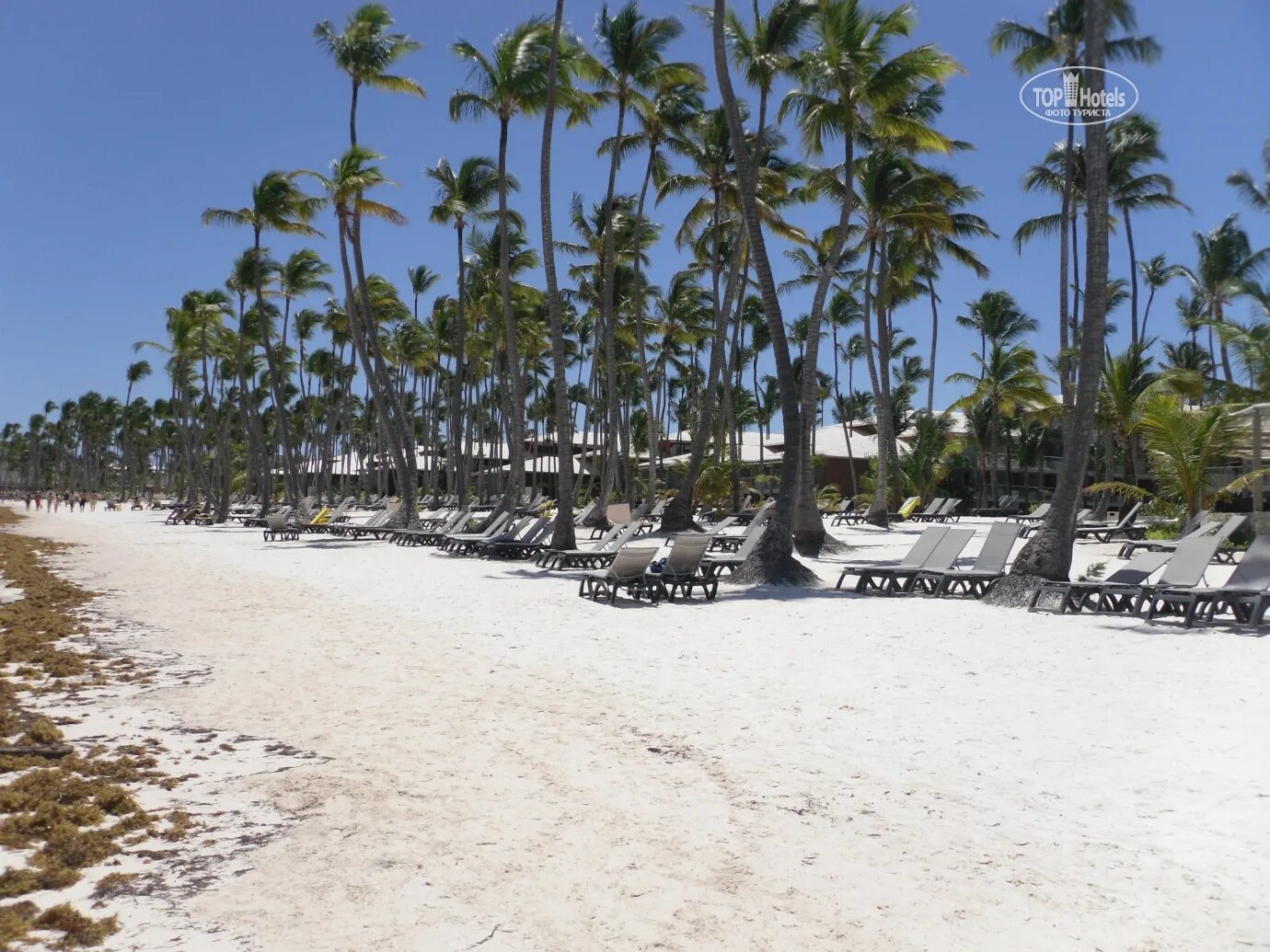 Barcelo bavaro palace. Барсело баваро палас делюкс 5 доминикана. доминикана барсело баваро палас делюкс фото. 5 barcelo bavaro palace deluxe фото. доминикана барсело баваро палас делюкс фото кухня.