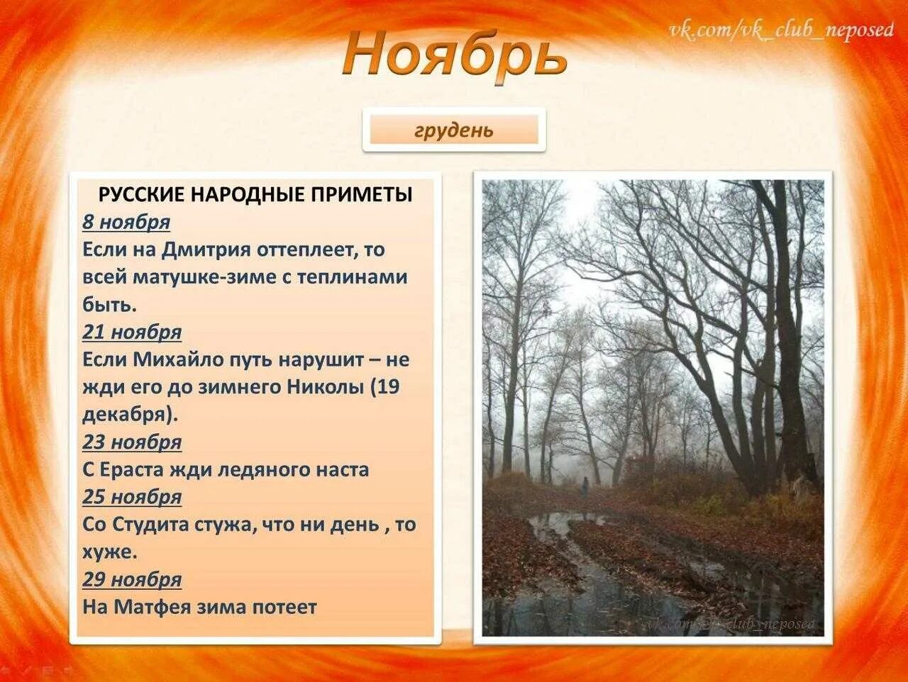 Приметы на 8 ноября. Календарь природы осень. Народные приметы ноября. Осенние месяцы приметы. Народные приметы осени.