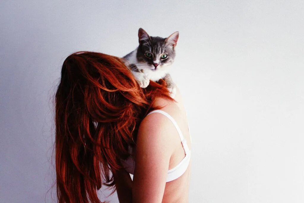 Девушка с рыжим котом. Рыжая девушка с рыжим котом. Рыжий кот волосы. Рыжий кот волосы. Кошка в парике.