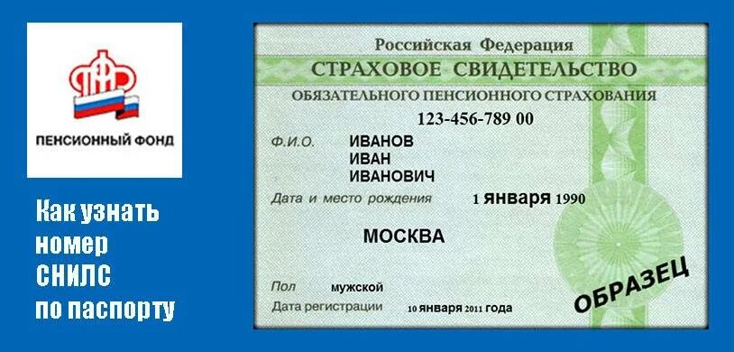 СНИЛС. Страховой номер. Номер пенсионного страхового свидетельства. Пенсионный фонд узнать номер снилс