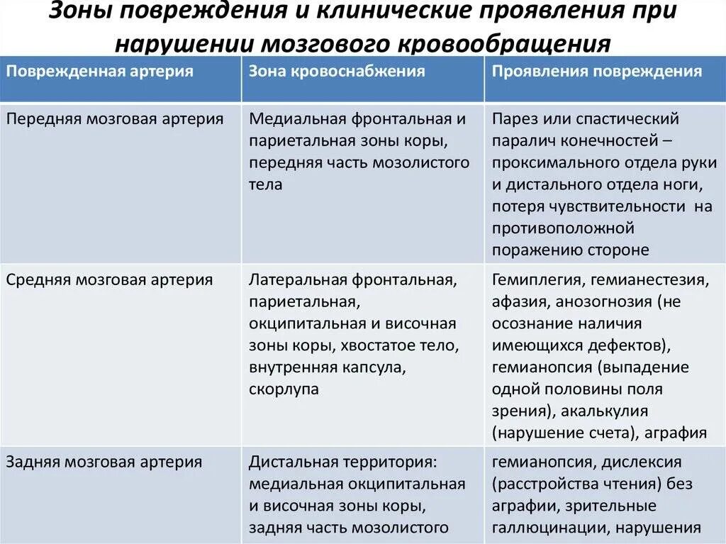 Симптомы нарушения работы отдела головного мозга. Клинические проявления нарушения мозгового кровообращения. Клинические проявления острого нарушения мозгового кровообращения. Таблицм клинические проявления повреждений головного мозга. Клинические формы нарушений мозгового кровообращения схема.