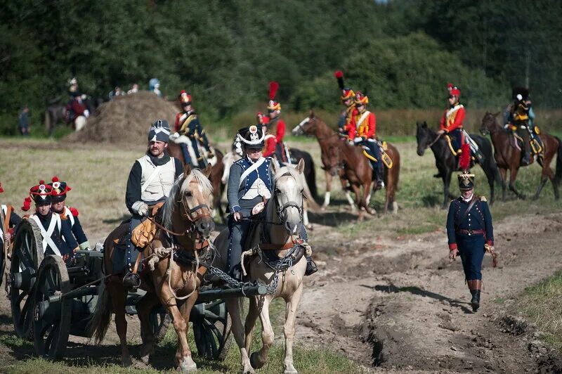 личинка саламандры аксолотль. чернолапый веслоног. советская машина амфибия газ 46. земноводные лягушки. отряд хвостатые земноводные.
