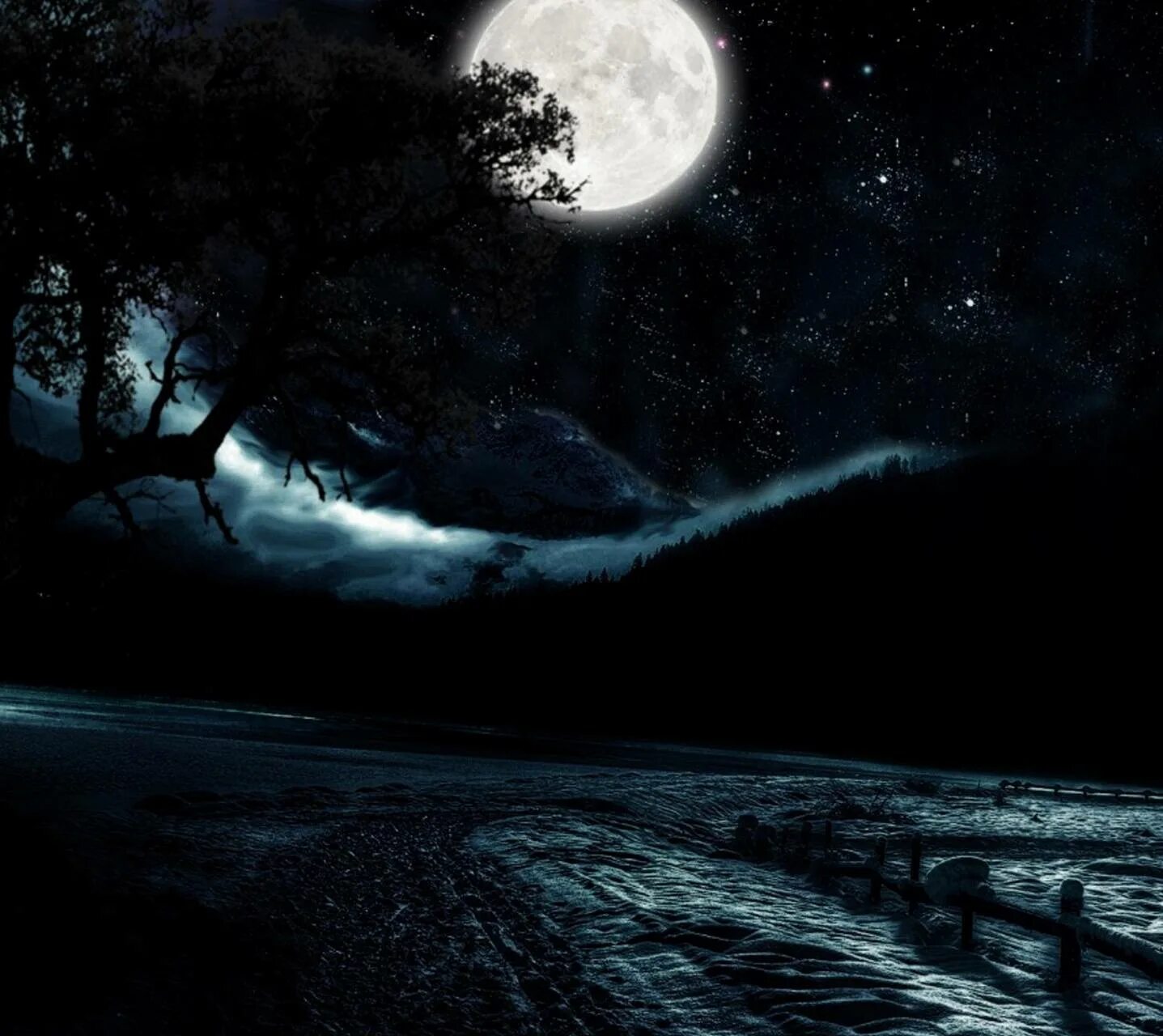 Картина темная луна. Ночь Луна. Ночной лес. Ночь лес Луна. Темная ночь.