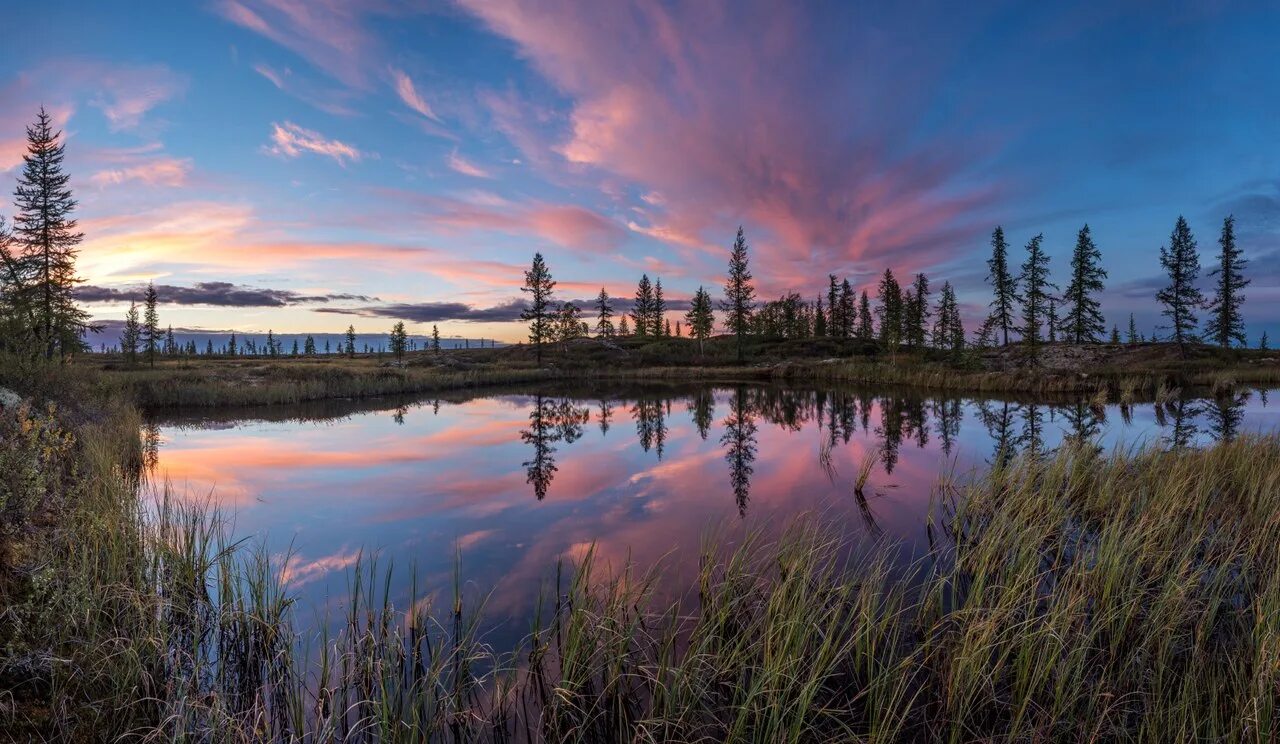 Тундра ямало ненецкий округ. Большеземельская тундра. Ямало-ненецкий автономный округ природа города. Ямало ненецкий природа. Ямало ненецкий природа.