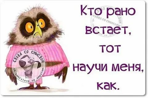 Кто рано встает