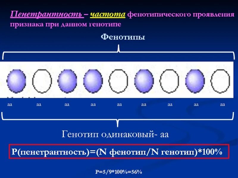 Пенетрантность и экспрессивность. Экспрессивность пенетрантность плейотропия. Пенетрантность генов. Одинаковый генотип.