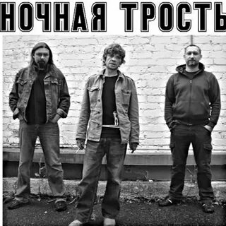 Ночная трость песни