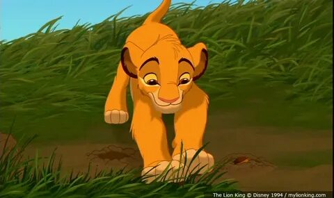 Animation lion king