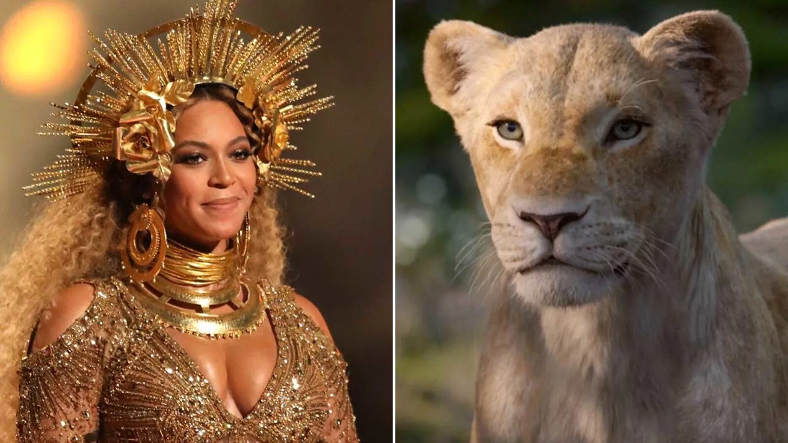 Beyonce lion king. Beyonce король лев. бейонсе в клипе король лев. beyonce птица льва. лев клип.