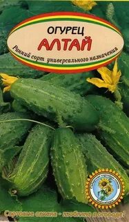Семена алтая лучшие сорта огурцов