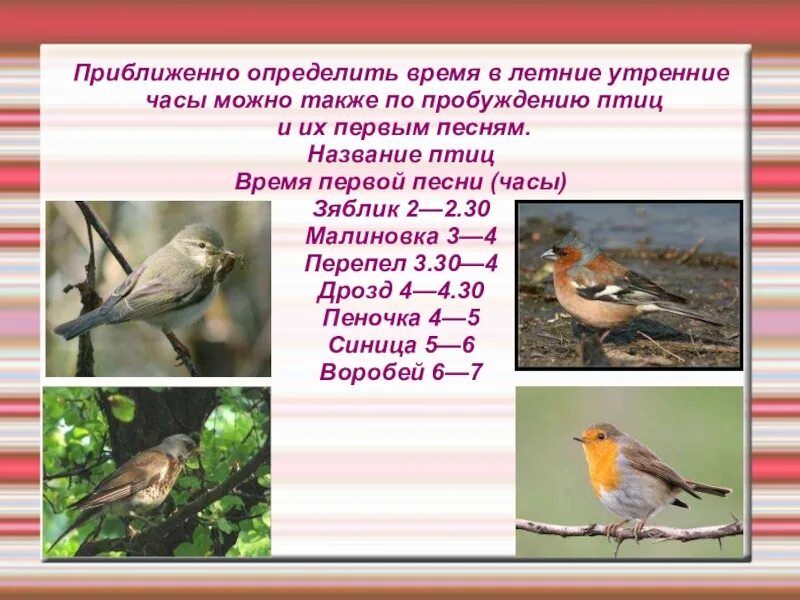 Во сколько лет начала петь. Определение времени по пению птиц. Во сколько просыпаются птицы. Ориентирование во времени по пробуждению птиц. Как определить время по птицам.