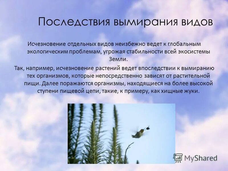 Последствия вымирания