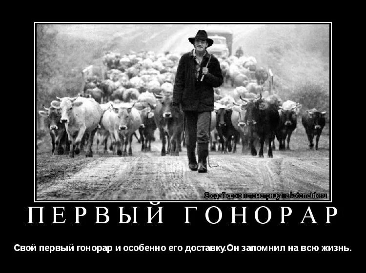 первый гонорар