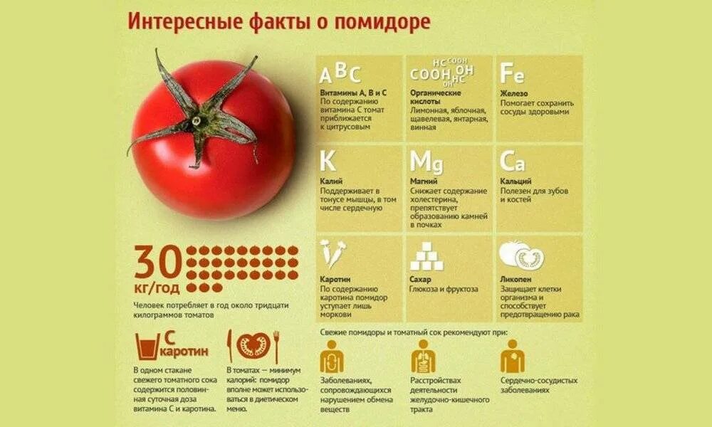 Помидоры сколько есть. Какие витамины содержатся в томатном соке. Интересные факты о помидорах. Польза помидоров. Витамины в томатном соке.