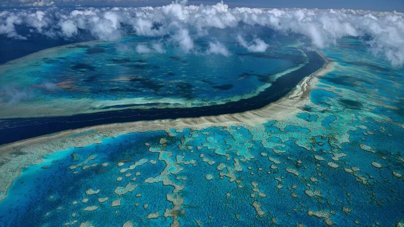 Наименьший из океанов. Большой Барьерный риф климат. Самый большой океан. Самый большой океан на земле. Большой Барьерный риф самое интересное.