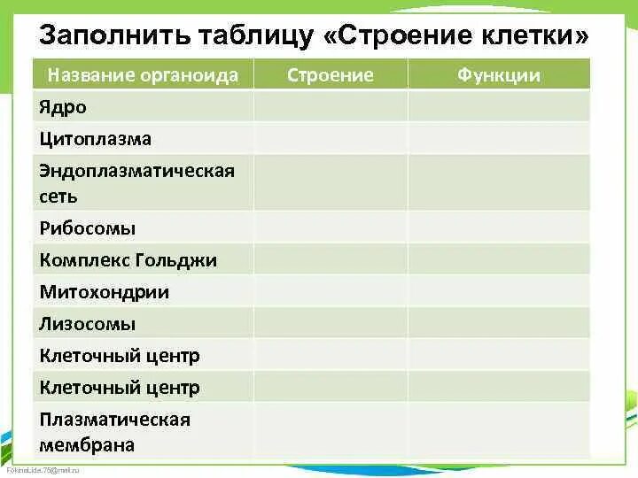 Таблица по биологии строение эукариотической клетки 10 класс. Таблицу органоиды растительной клетки,основные функции.. Таблица по биологии 8 класс строение клетки строение и функции. Название функции органоидов растительной клетки таблица.