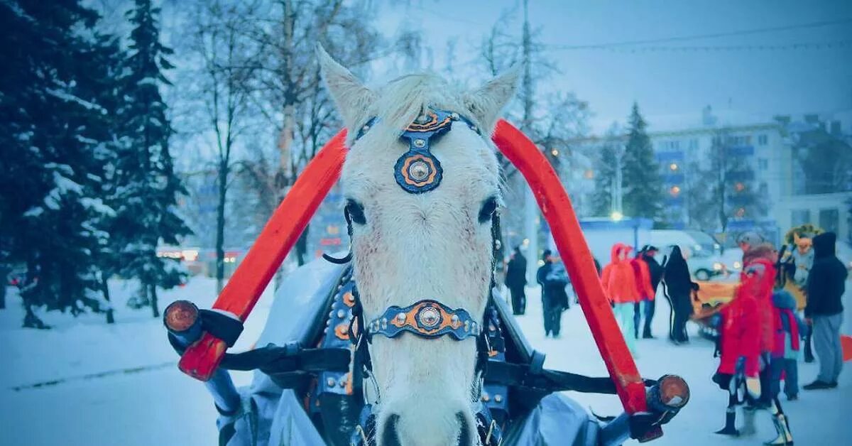 Большеустьикинское центр. Большеустьикинское центр. Подслушано новости уфа. Детчинский аграрный колледж. Медведь на улице.