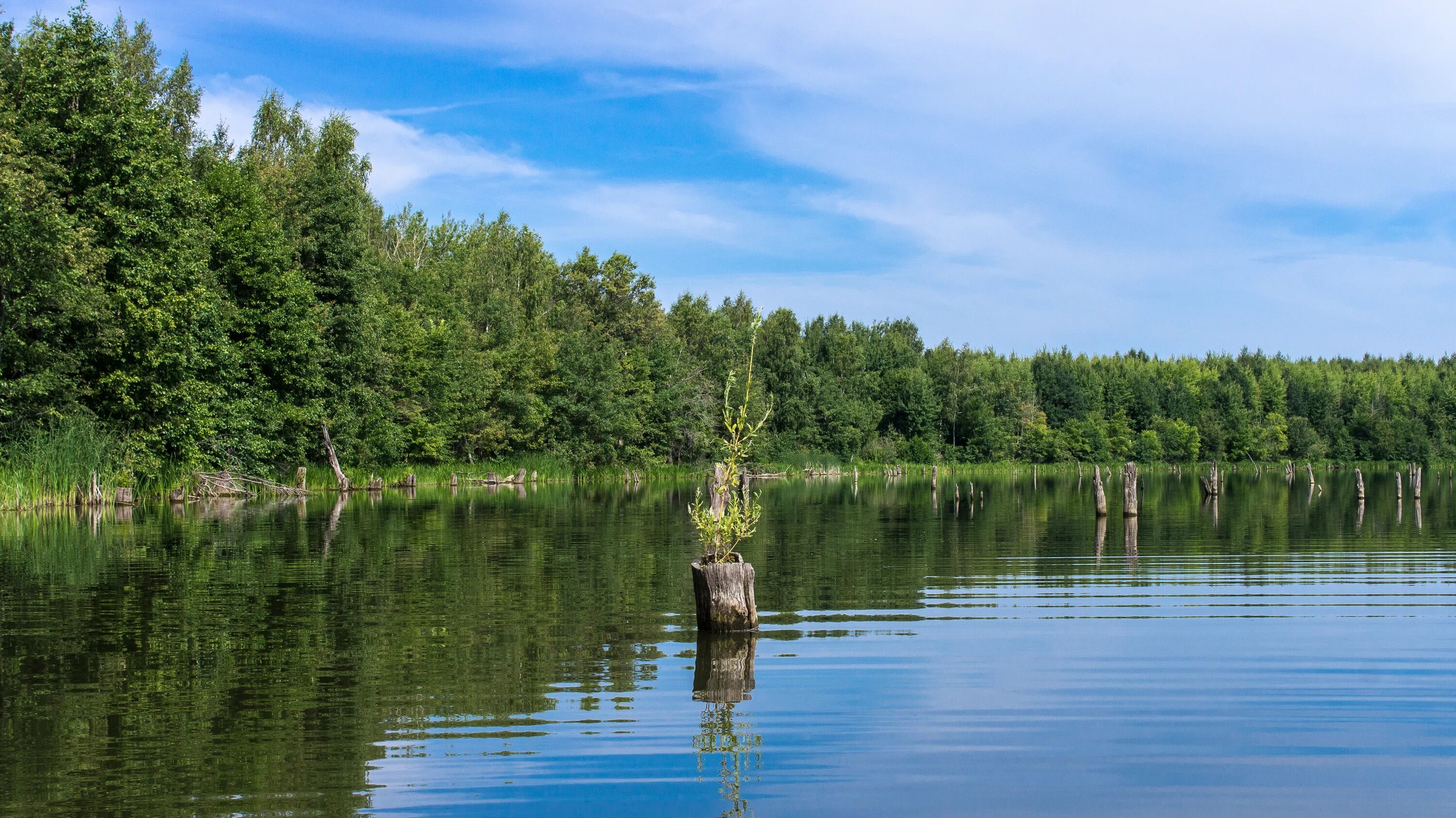 Ниже новгородская область. Река Ламна Нижегородская область. Хвойная Новгородская область озера. Озеро Ламна Нижегородская область. Еловое озеро Нижегородская область.