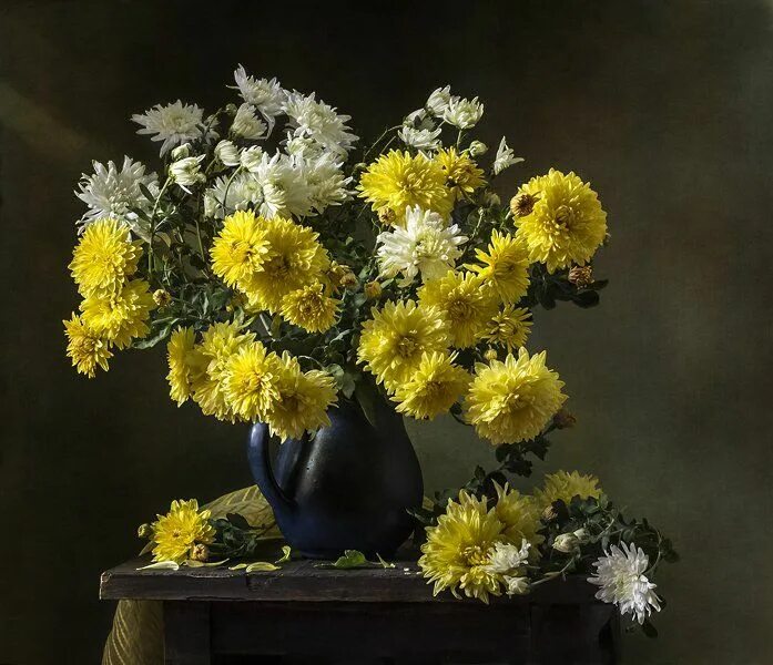 Gentle asters by Daykiney on DeviantArt Aster flower, Red roses, Flowers